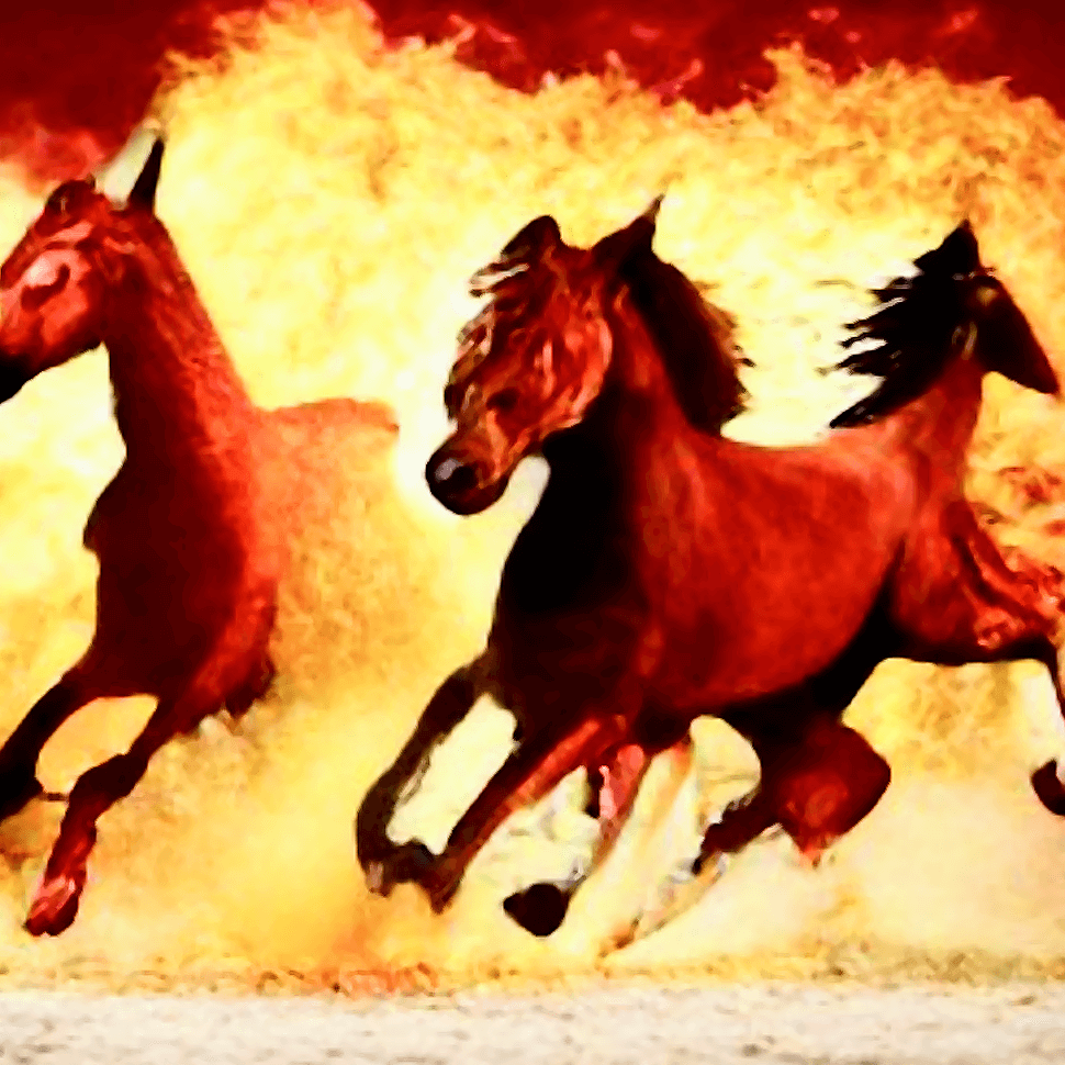 horses and fire